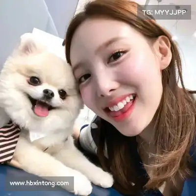 荣杏暖